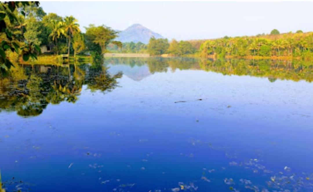 Sparrow Vale Resort Kotamangalam Buitenkant foto